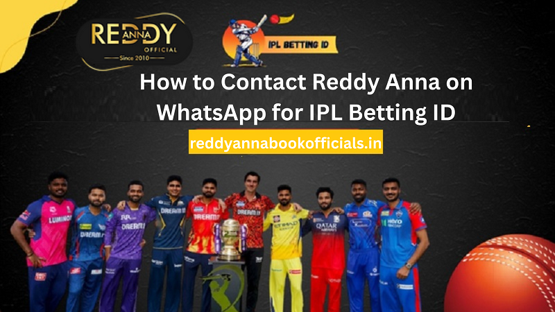 Contact Reddy Anna on WhatsApp